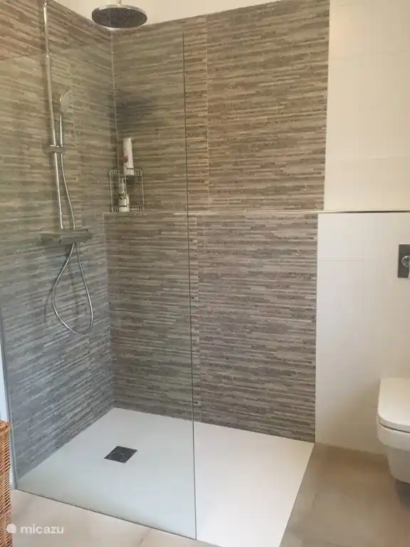 Modern bathroom master bedroom