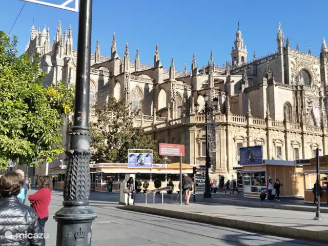 Appartement Duquesa Village huren in Spanje, Costa del Sol, Manilva - appartement Sevilla, een echte aanrader