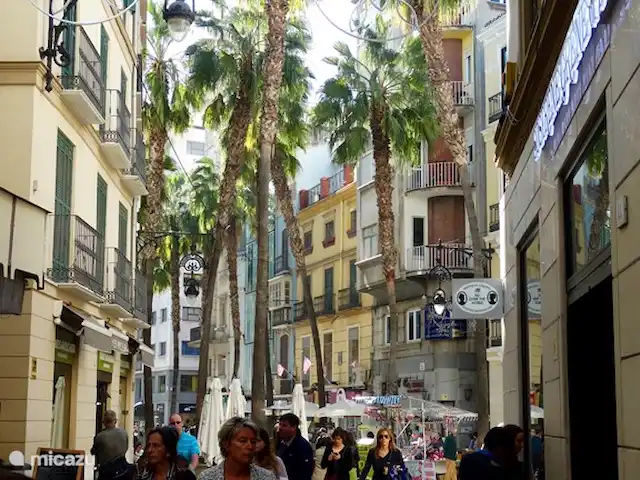 Appartement Duquesa Village huren in Spanje, Costa del Sol, Manilva - appartement Malaga centrum met o.a. de overdekte vismarkt