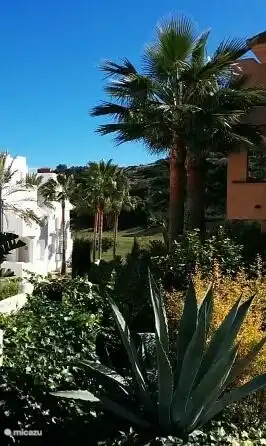 Einer wunderschönen Gartenlandschaft im Park