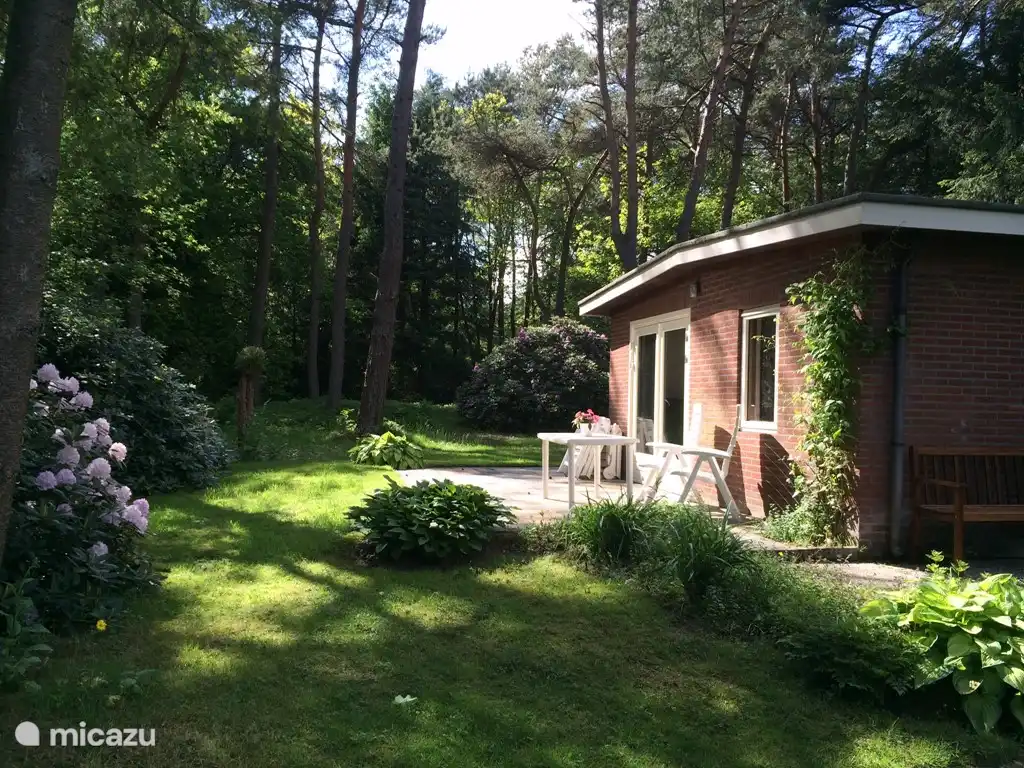 Birdjoy in Beekbergen, Gelderland huren? | Micazu