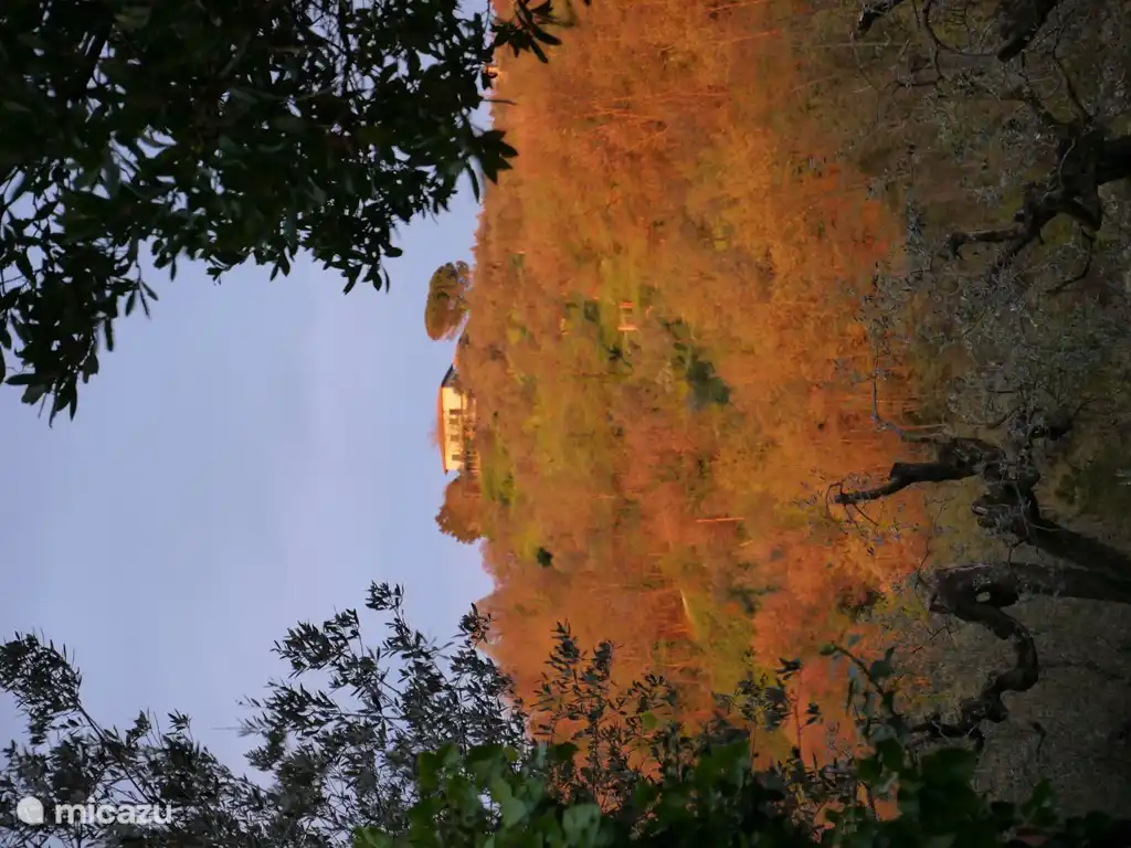 Schöne Verfärbung im Herbst