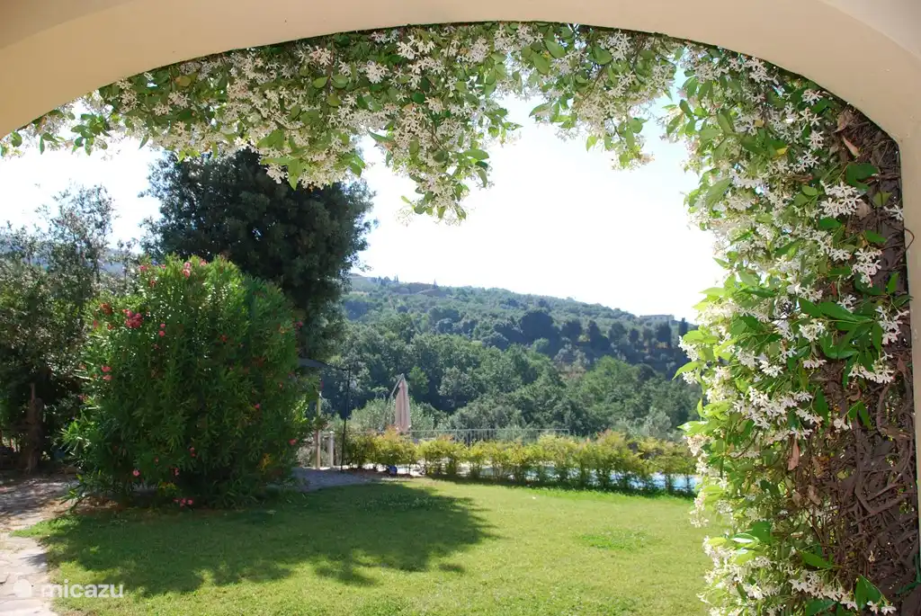 Schöne italienische Jasmin