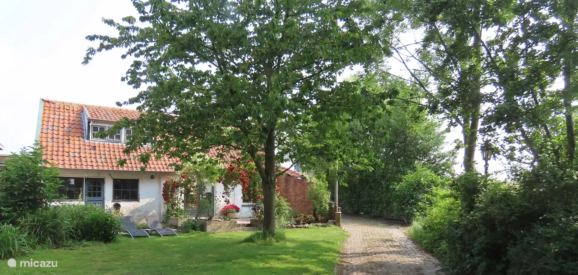 Sailing, Netherlands, Zeeland, 's Heer Arendskerke, holiday house Holiday Home