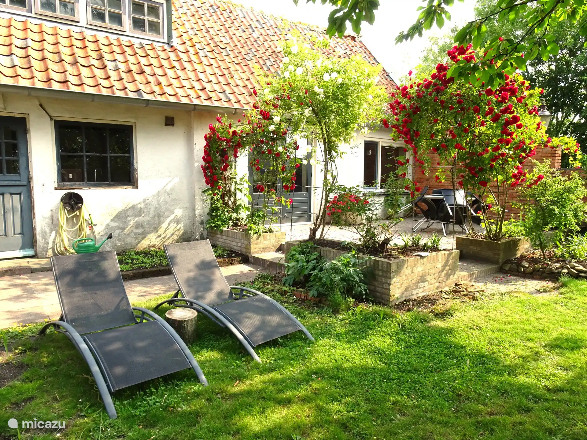 sunbeds in the garden