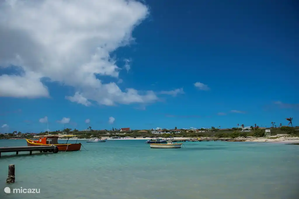 Aruba Jewel, simple elegance in Moko, Paradera huren?  Micazu