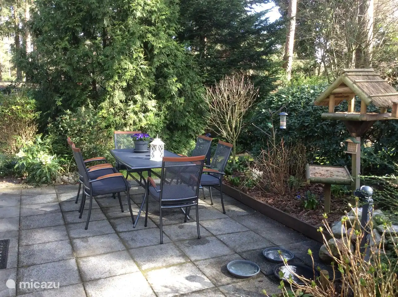 Dies ist der Vorgarten mit den riesigen Hostas, Farne und verschiedene Bäume pflanzen auf der Rückseite des Hauses können Sie eine Liegewiese, wo Sie genießen können.