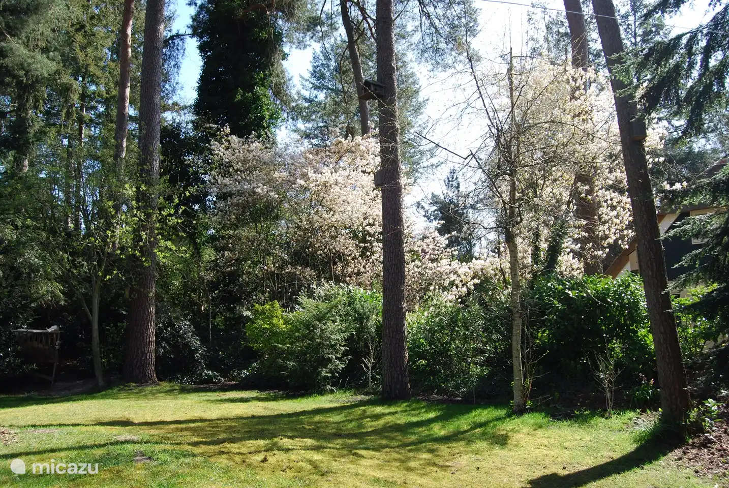 Hinterhof im Frühjahr.