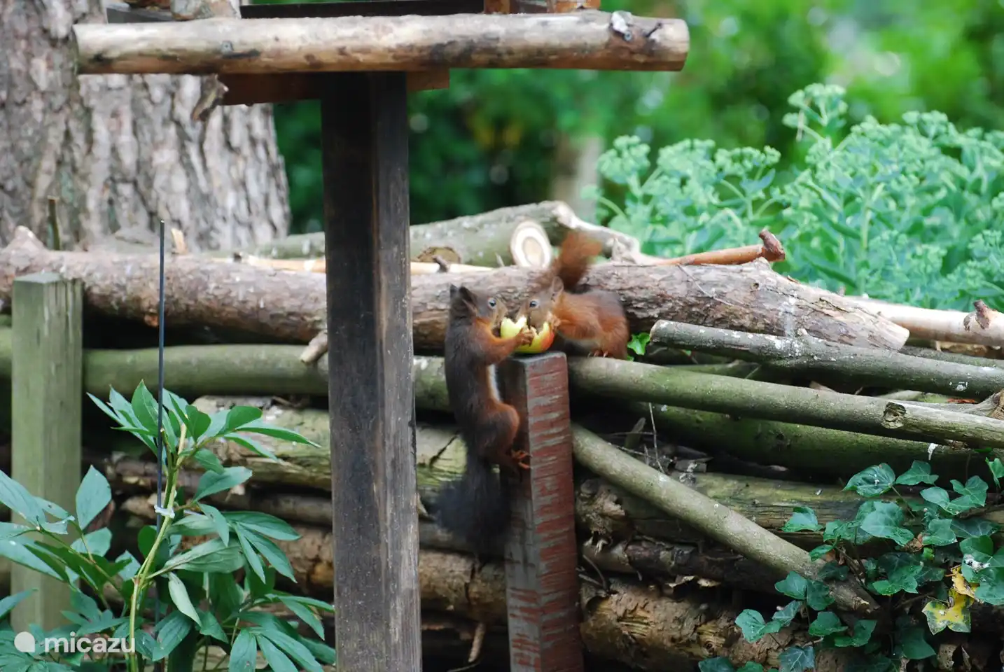 Gibt es heute noch etwas zu essen für uns zusammen