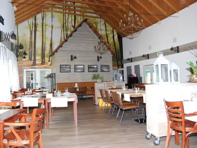 vakantiehuis huren in Nederland, Drenthe, Diever – Huis Drenthe Restaurant waar je wat kunt eten en gezellig wat kunt drinken