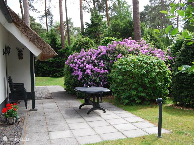 Holiday home in Netherlands, Drenthe, Diever Holiday house Huis Drenthe