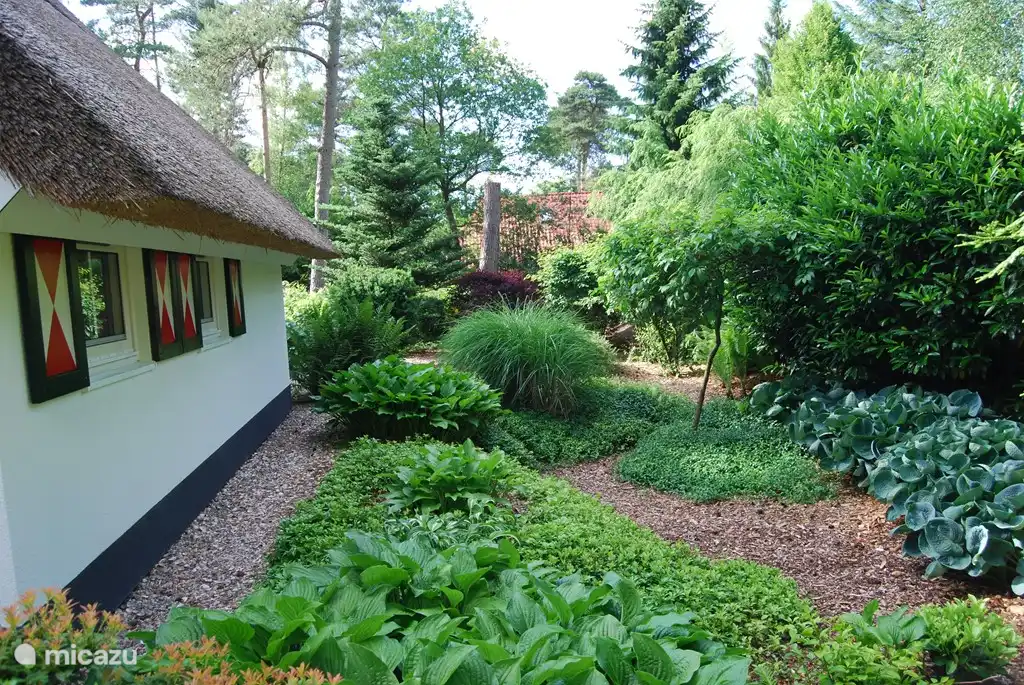 Die Seite des Hauses. Dieses Bild wurde im Mai des besten Monat des Jahres für den Garten genommen.