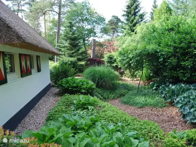 vakantiehuis huren in Nederland, Drenthe, Diever – Huis Drenthe De zijkant van het vakantiehuis. Deze foto is in mei genomen de mooiste maand van het jaar voor de tuin.