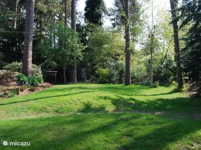 vakantiehuis huren in Nederland, Drenthe, Diever – Huis Drenthe Achteraanzicht van de achtertuin  voorjaar alle bomen staan te  bloeien.