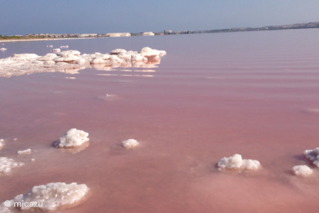lagos de sal