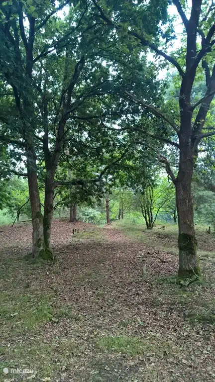 Die Swolgenderheide.