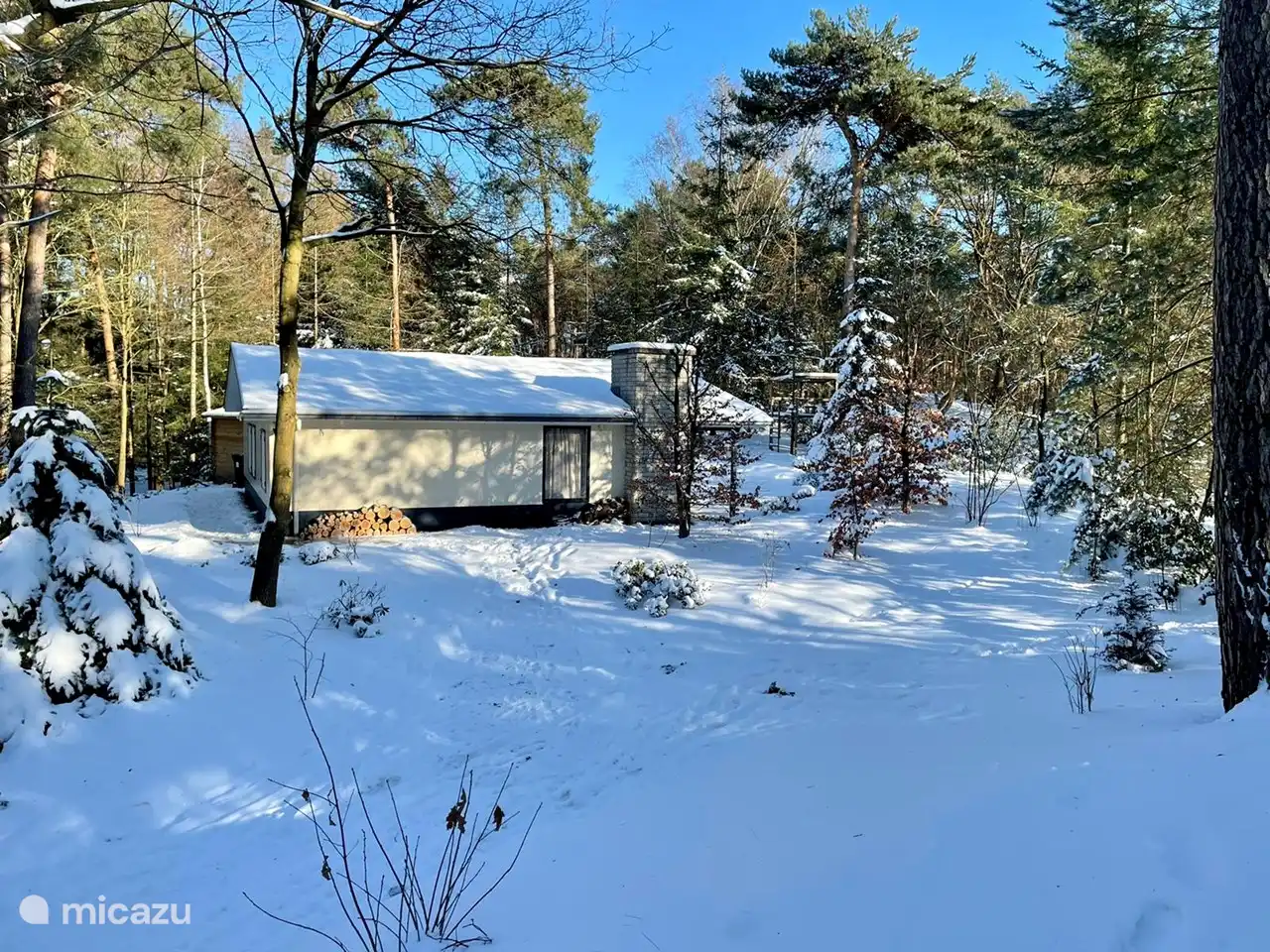 House Jet im Schnee Februar 2021