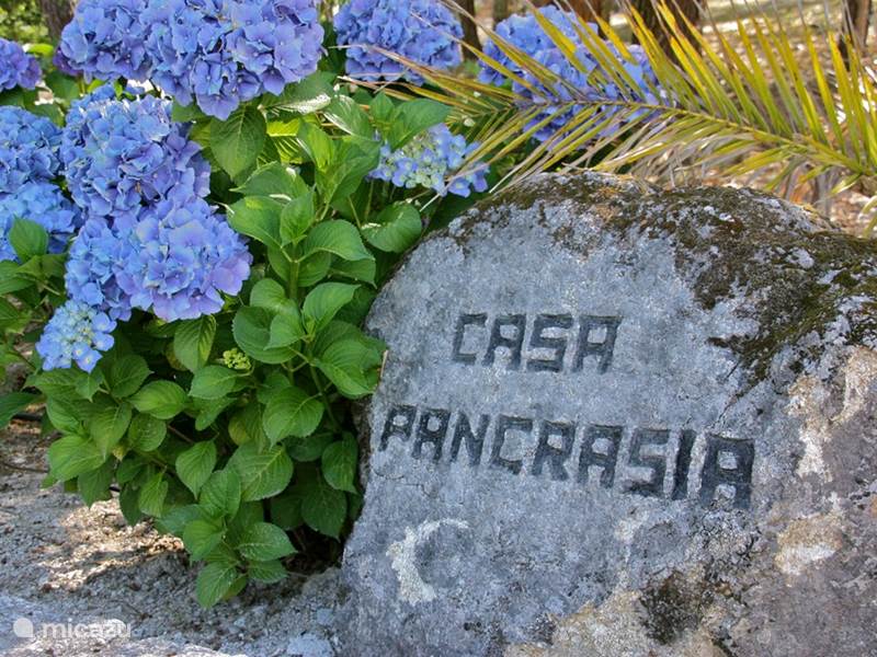 Ferienwohnung Portugal, Beiras, Casfreires Villa Casa Pancrasia