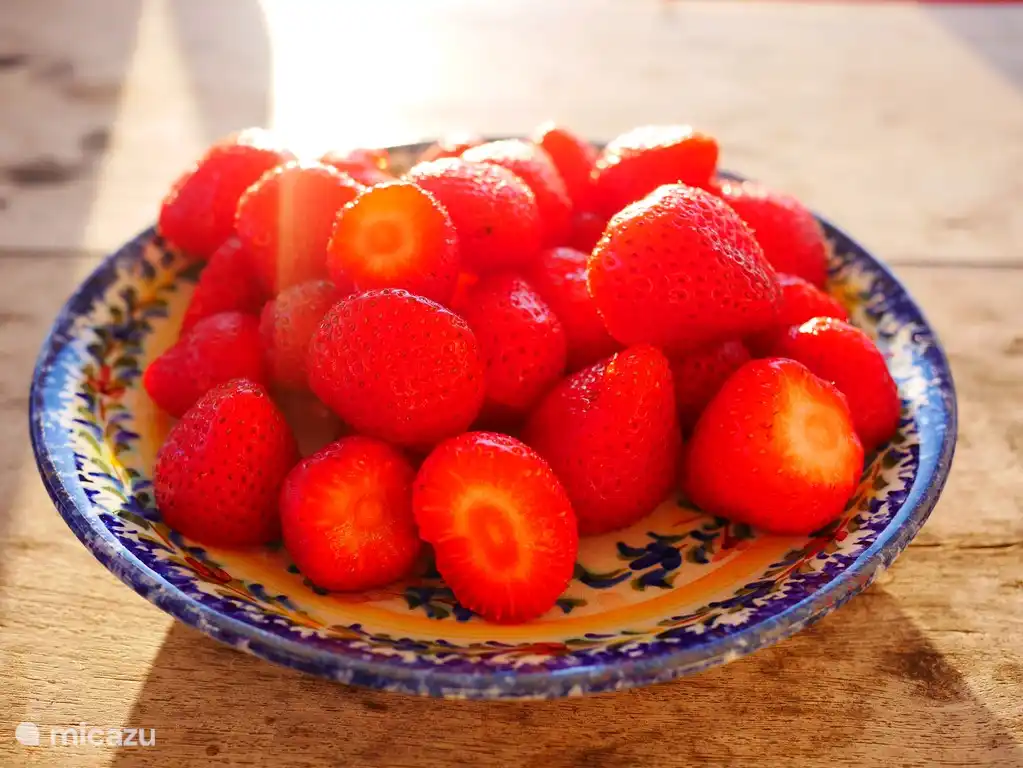 Elk dorpje in de omgeving heeft een eigen marktdag met heerlijke verse producten. 