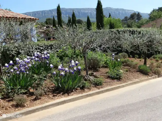 Villa 'El pequeño paraíso' en Francia, Var, Nans-les-Pins - villa Vista de St. Baume