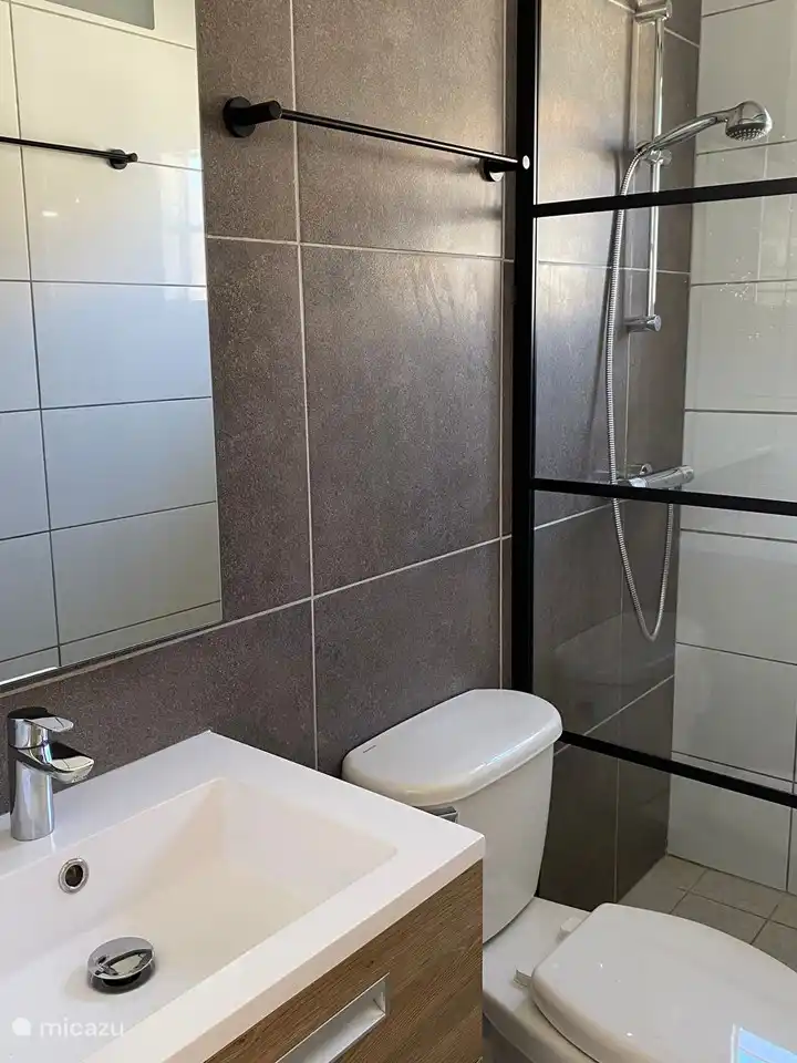 Cuarto de baño con ducha, inodoro y lavabo.