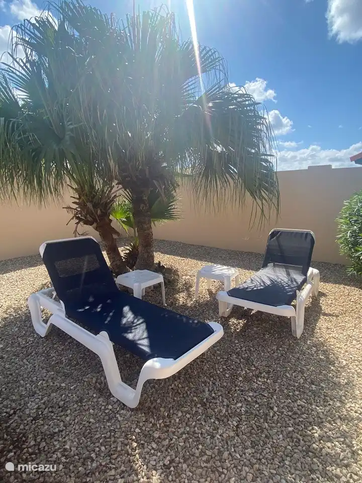 En el jardín hay cuatro tumbonas y dos mesas para tomar algo. Precioso bajo una palmera