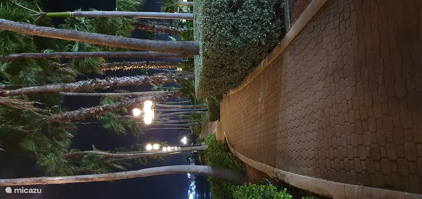 un pedazo de Oranjestad cerca del hotel Wilhelminapark y Renaissance.