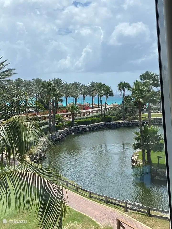 vista desde Windows el restaurante de Divi Resort. Consejo; ir a almorzar