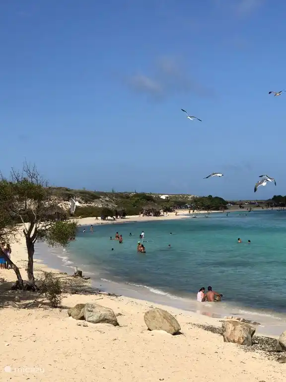 Baby Beach, una playa donde a los locales les gusta especialmente pasar el fin de semana.