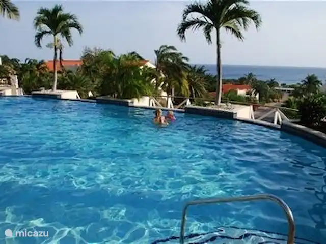 Dushipalm en Curazao, Curazao Centro, Piscadera - apartamento Piscina detrás de nuestra casa.
Nuestra hija con nietos.