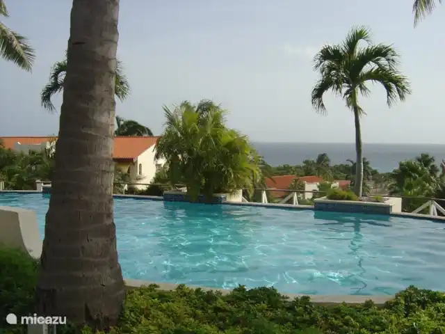 Dushipalm en Curazao, Curazao Centro, Piscadera - apartamento Piscina con vista al mar (a la izquierda de nuestro apartamento)