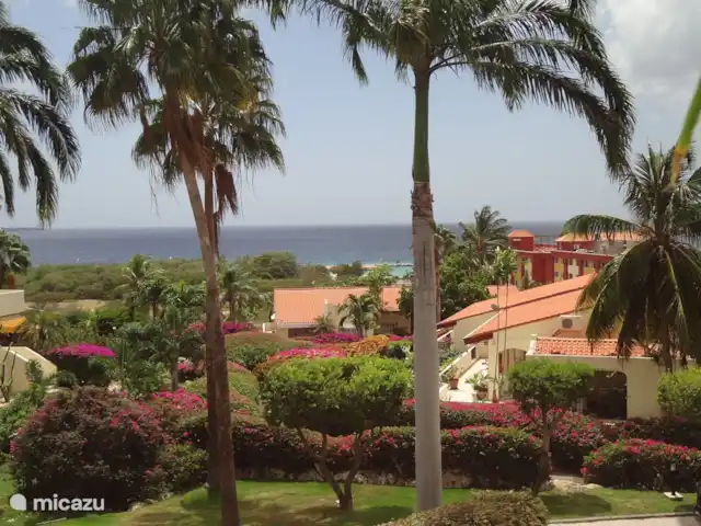 Dushipalm en Curazao, Curazao Centro, Piscadera - apartamento LA IMAGEN QUE PERDURARÁ EN TU MEMORIA
es el paisajismo tropical que consiste principalmente en varias especies de palmeras,
setos de buganvillas y plantas tropicales.
El jardín está perfectamente cuidado.