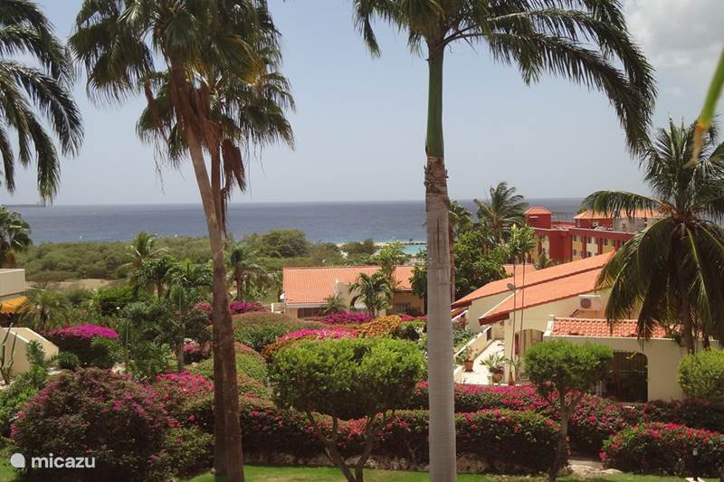 Ferienwohnung Curaçao, Curacao-Mitte, Piscadera Appartement Dushi-Palme