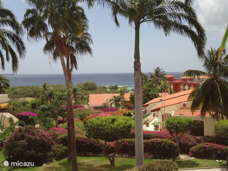 Vakantiehuis Curaçao, Curacao-Midden, Piscadera Appartement Dushipalm