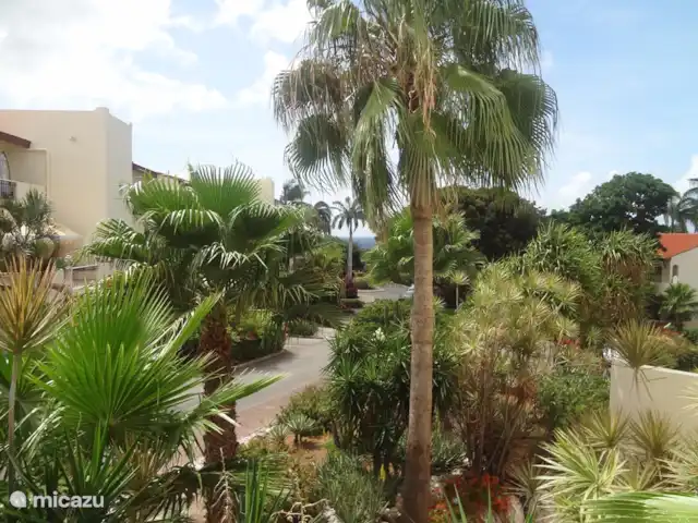 Dushipalm en Curazao, Curazao Centro, Piscadera - apartamento Vista desde nuestro balcón trasero