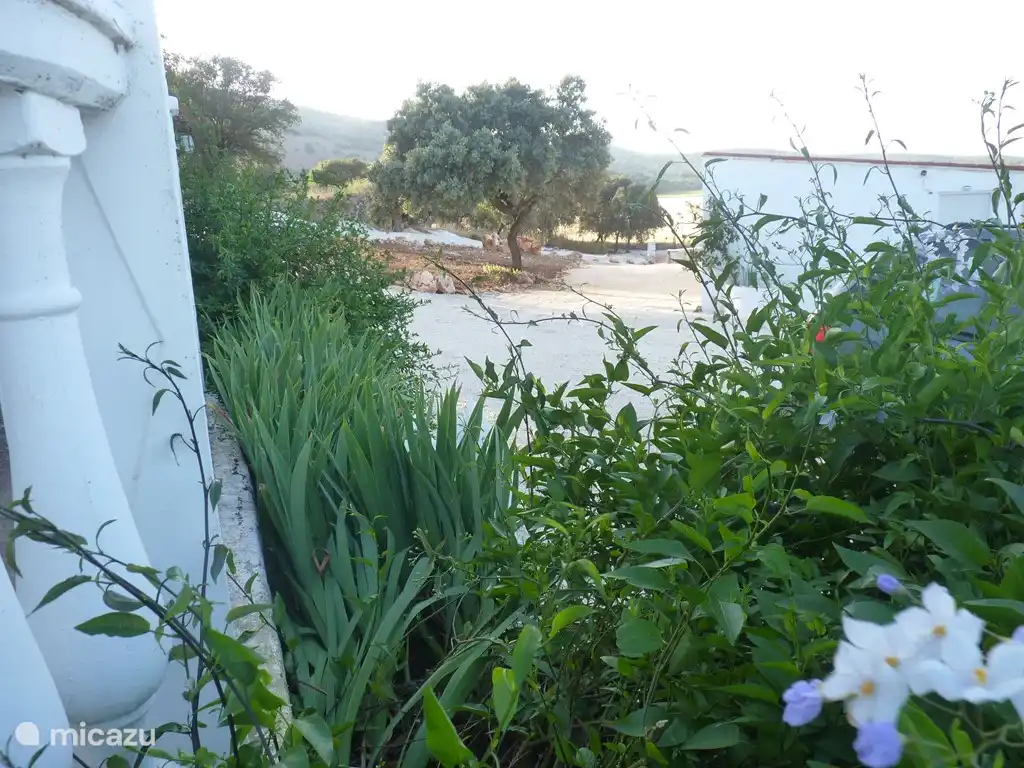 was für eine Aussicht!