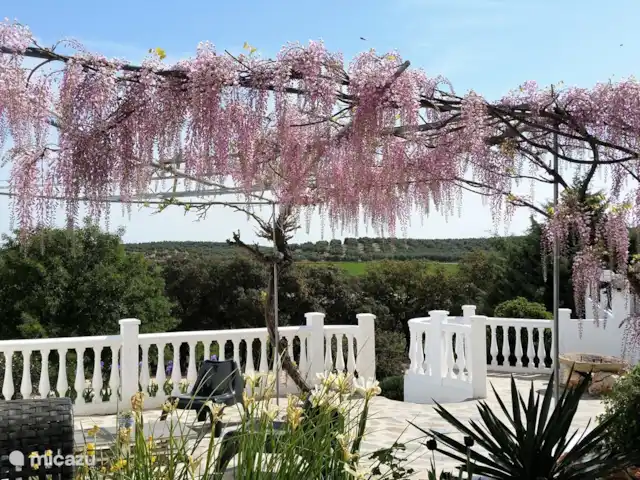 Hacienda la Suerte | Espagne, Andalousie, Villanueva de Tapia - ferme