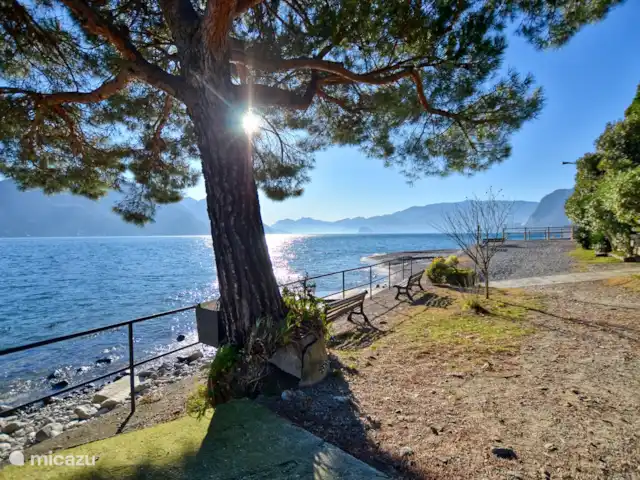 appartement huren in Italië, Comomeer, Acquaseria – Cipresso 33 Het publieke kiezelstrand op 3 min lopen van het appartement.