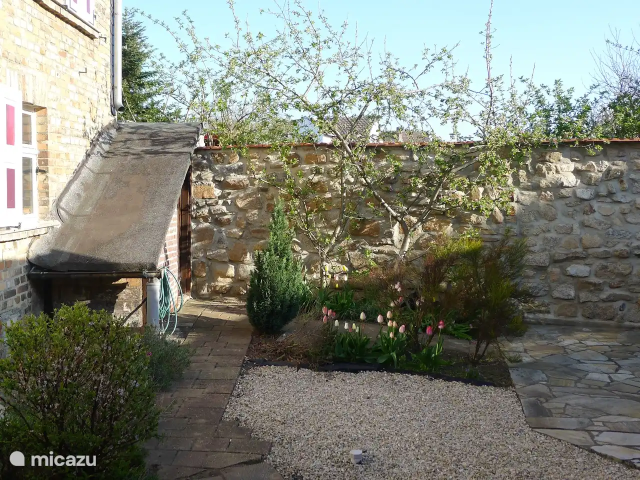 Tuin in het voorjaar