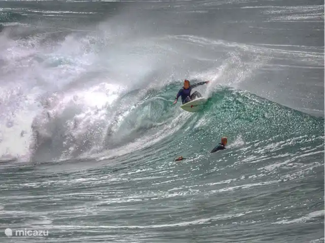 La Maison Aquitania en Francia, Landas, Vielle-Saint-Girons - villa Condiciones perfectas para surfear en Saint Girons Plage