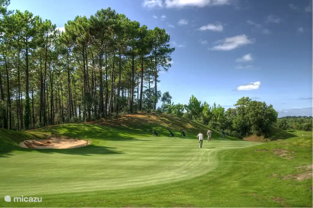 Meerder golfbanen binnen een straal van 50 Km