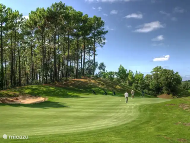 La Maison Aquitania en Francia, Landas, Vielle-Saint-Girons - villa Varios campos de golf en un radio de 50 Km.