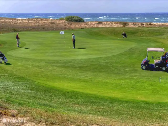 La Maison Aquitania en Francia, Landas, Vielle-Saint-Girons - villa Jugar al golf en la playa es una experiencia única.