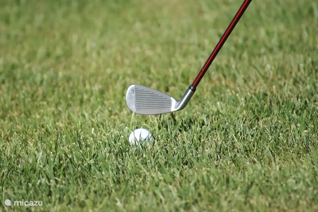 Es gibt viele Golf-Möglichkeiten in der Umgebung. Innerhalb von 15 Minuten erreichen Sie die PGA of Girona erreichen. Dies ist in den Top 10 in der Welt!