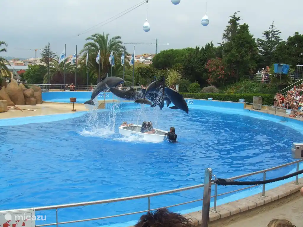 Innerhalb von 20 Minuten sind Sie am Waterworld. Eine schöne Wasserpark Attraktion, wo seine wenigen täglichen Delfinshow