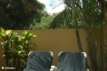 Vakantiehuis Aruba, Noord, Tanki Leendert villa Prive villa. Sunny side villa Prive terras