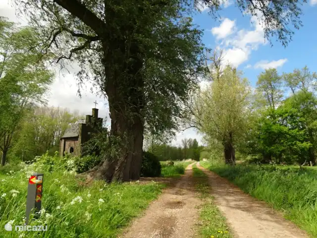 't Heeske huren in Nederland, Limburg, Sevenum - vakantiehuis Natuurgebied de Bengd. 
Omgeving < 500 m van 't Heeske.