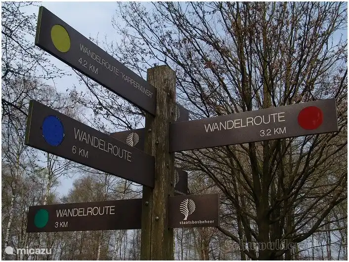 Marche et réserve naturelle de Peel à environ 15 minutes en vélo.