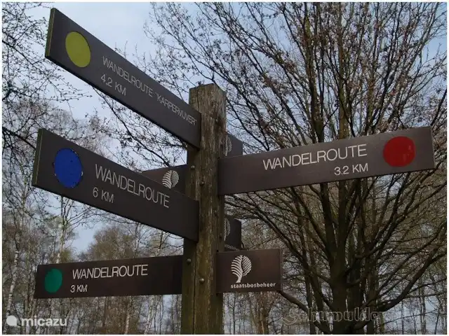 't Heeske huren in Nederland, Limburg, Sevenum - vakantiehuis Wandel- en natuurgebied de Peel op ca. 15 minuten fietsafstand.