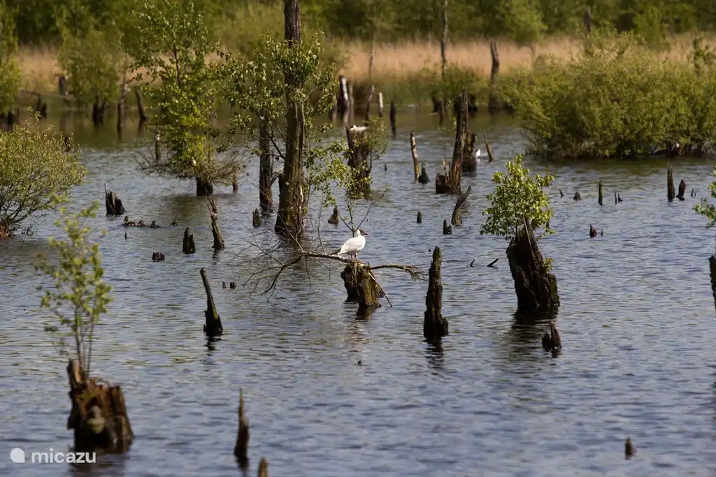 Marche et réserve naturelle de Peel à environ 15 minutes en vélo.